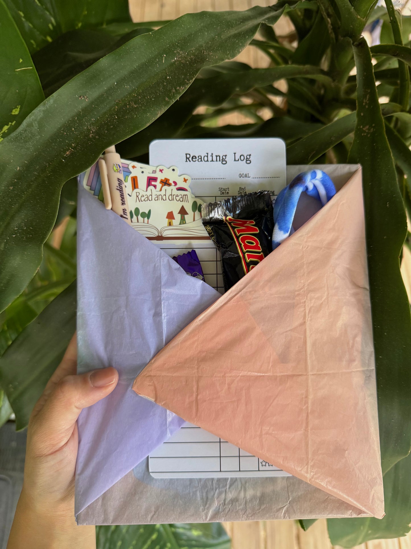 Kid’s Disney Blind Book Date