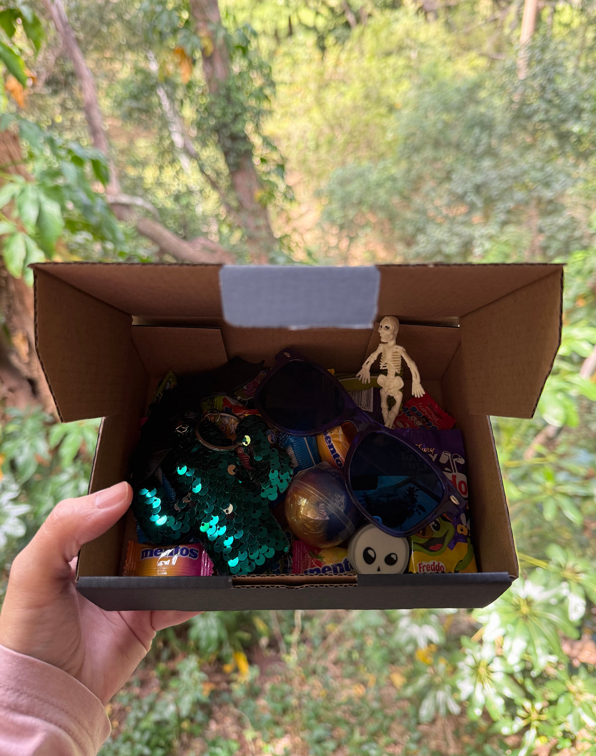 Spooky Mystery Box - Mixed