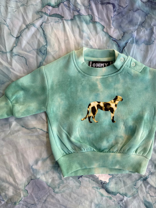 Size 000 - Lil Explorer Baby Crewneck