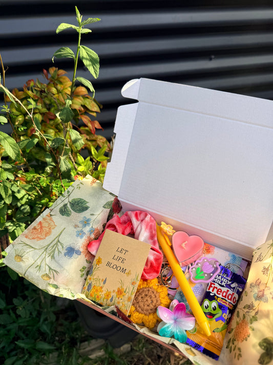 Spring Box